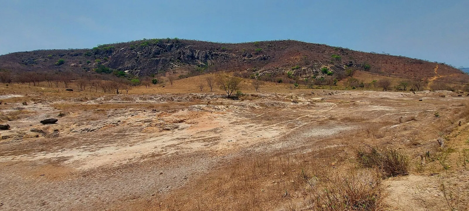 Paisagem seca com solo claro e pedregoso, capim amarelado, árvores sem folhas e um morro rochoso ao fundo, sob céu azul
